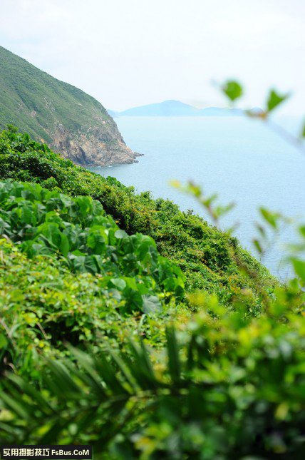 善用对核心 创造浅景深构图