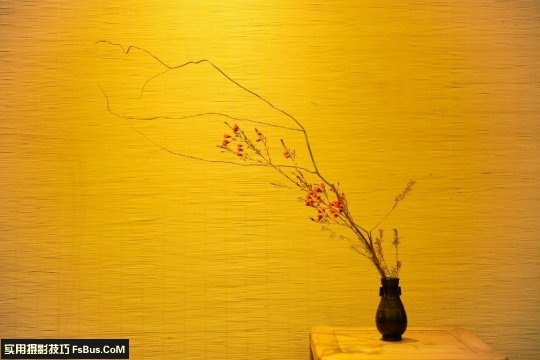 摄出茶花道意境美的4个入门秘要_3_1 摄出茶花道意境美的4个入门秘要