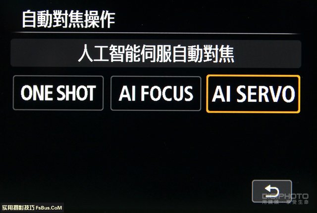 宠物拍摄的10大关键问答 宠物拍摄的10大关键问答