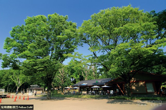掌握旅游拍摄的10大关键问答 掌握旅游拍摄的10大关键问答